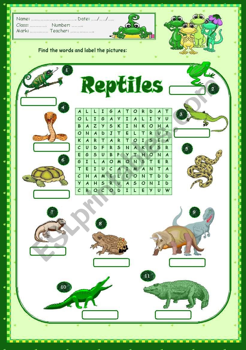 Reptiles ESL Worksheet By Vanda51