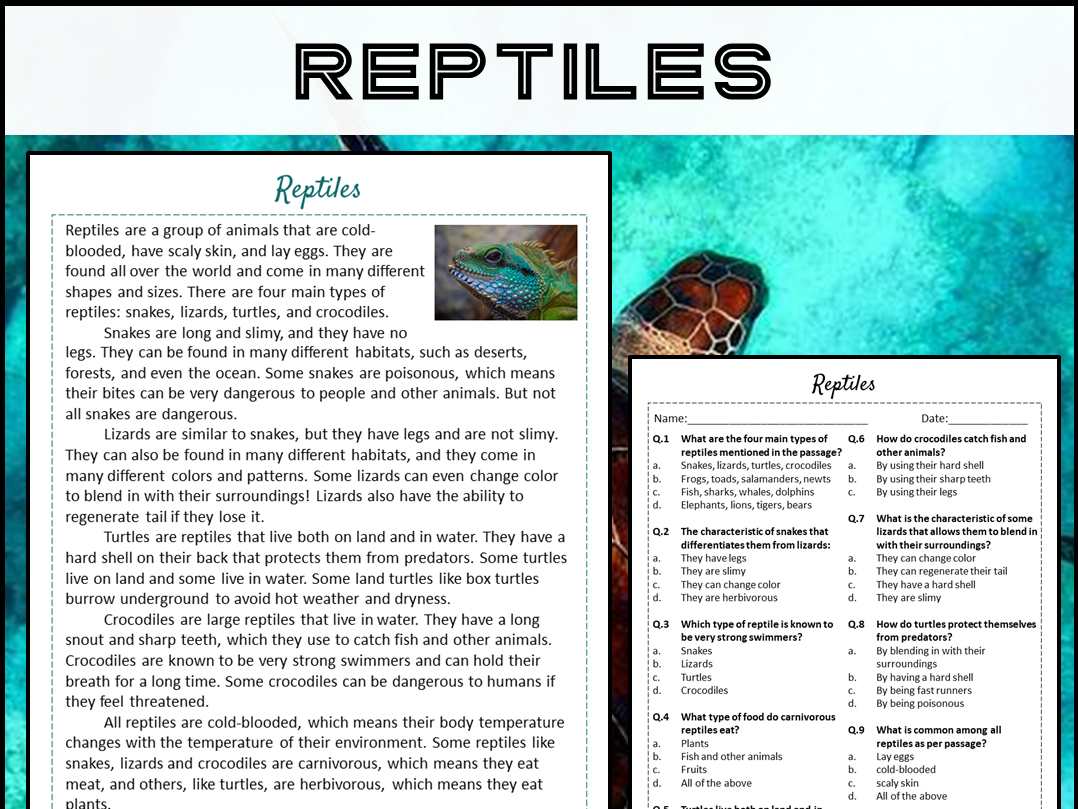 Reptiles Reading Comprehension Passage And Questions PDF 