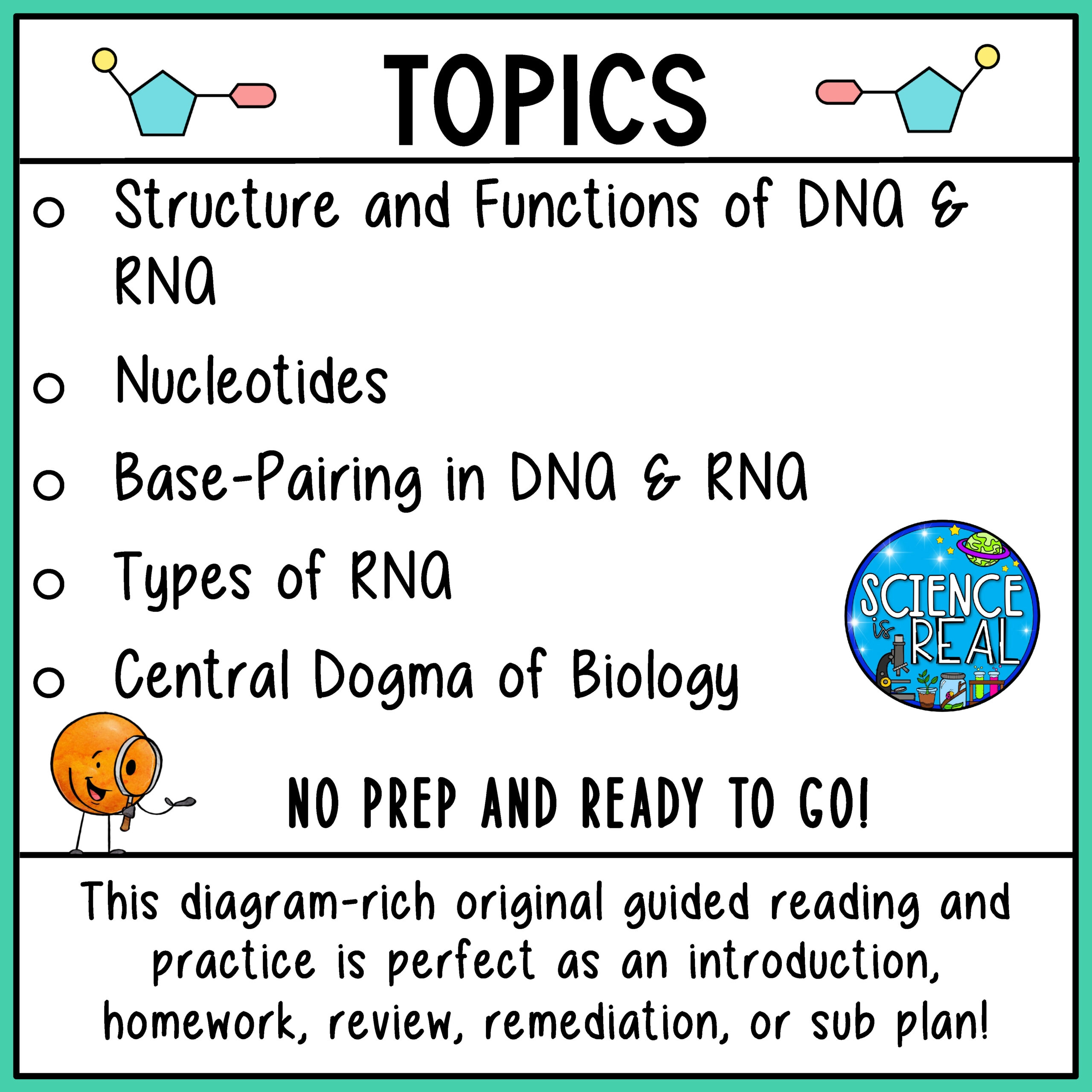 Reading Comprehension Worksheet Dna