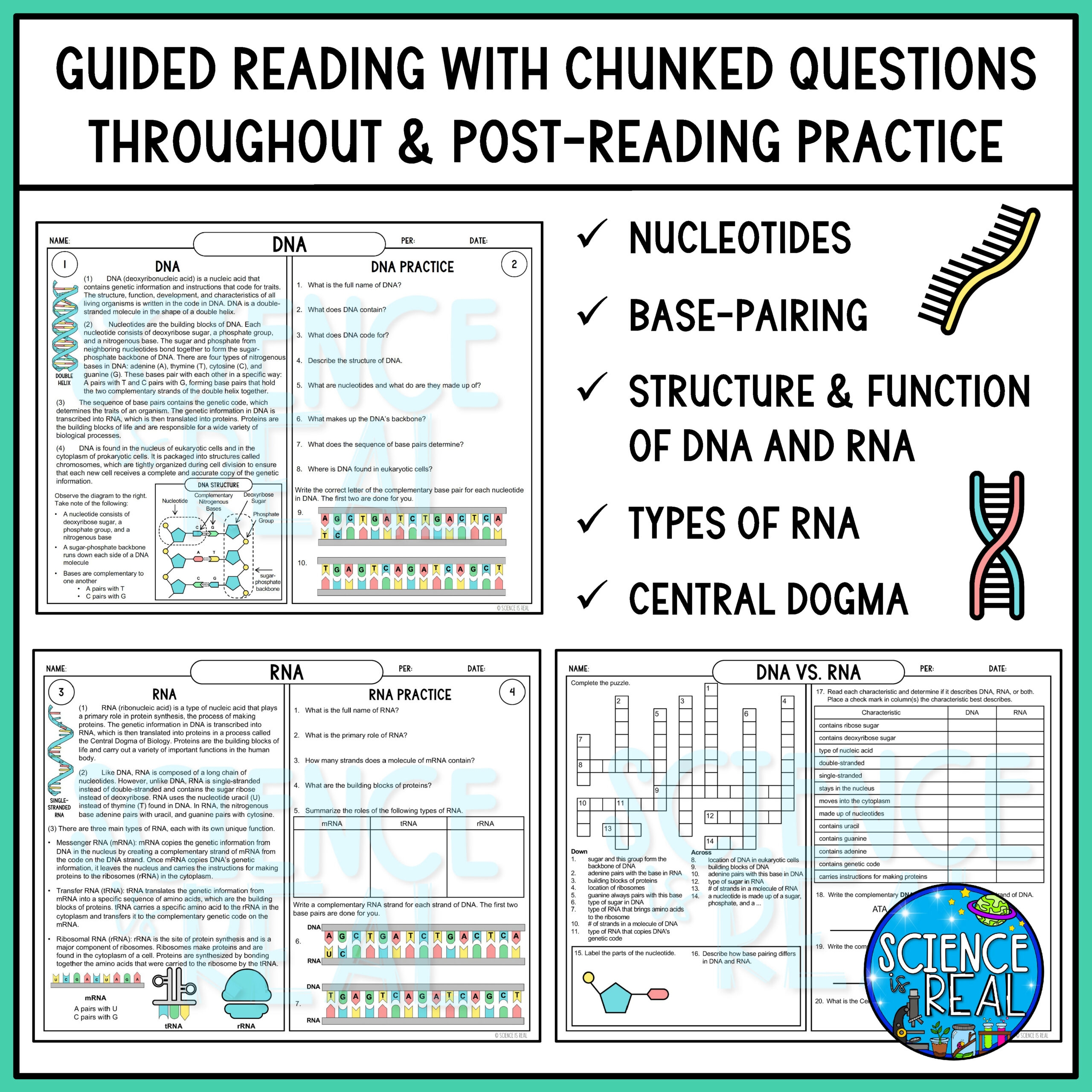 RNA And DNA Reading Comprehension And Worksheets Classful