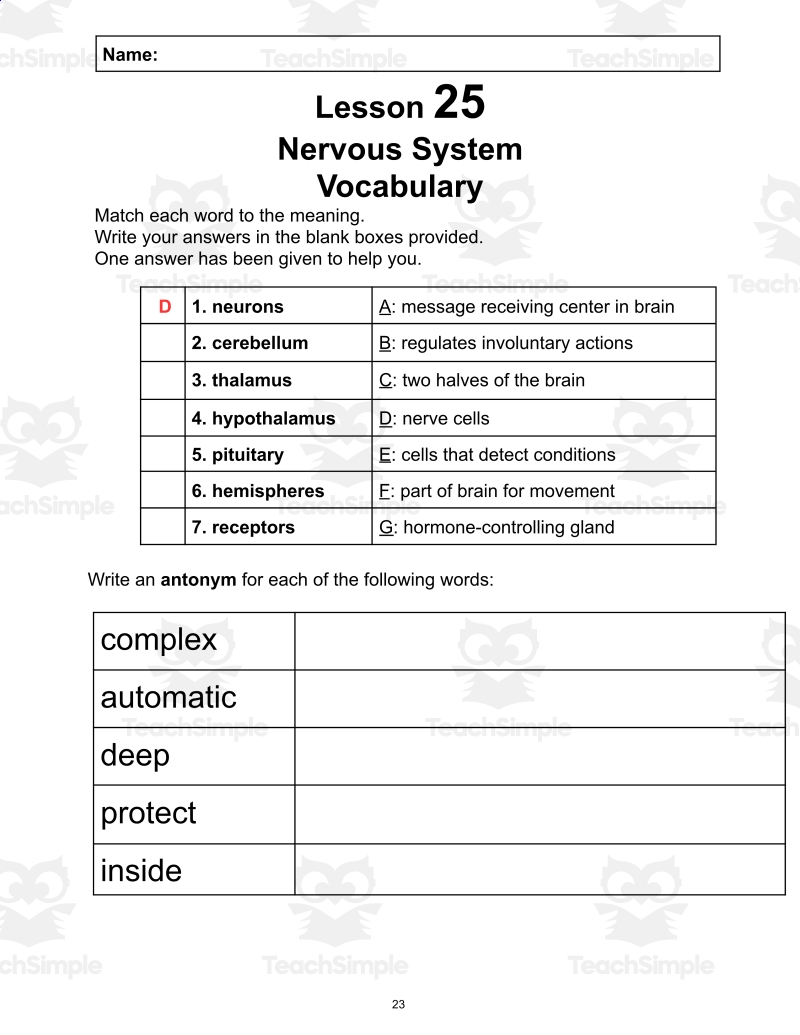 Science Reading Comprehension Passage 25 Nervous System PDF
