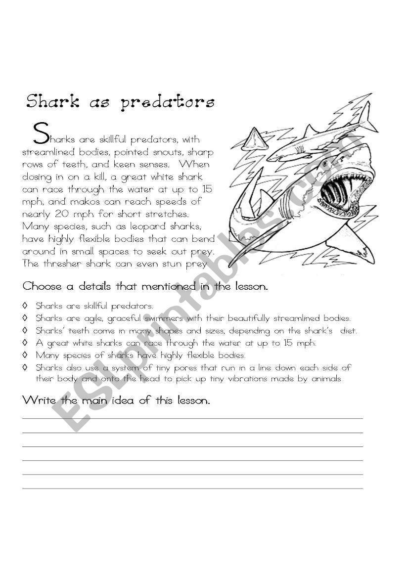 Sharks As Predators ESL Worksheet By Olgajmart