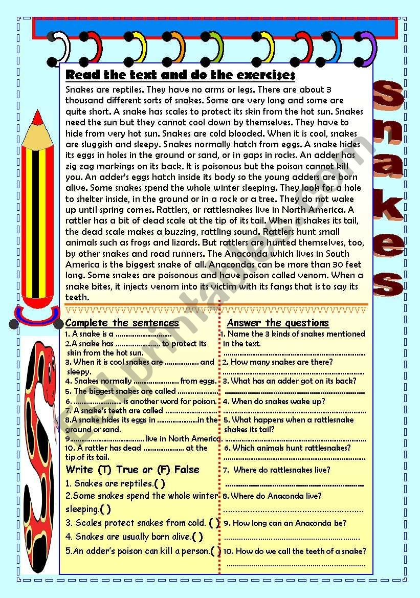 Snakes Comprehension ESL Worksheet By Alexiosthegreat