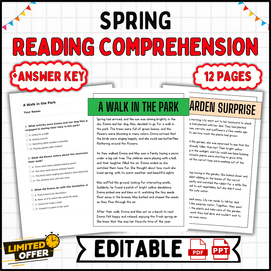 Editable Reading Comprehension Worksheets