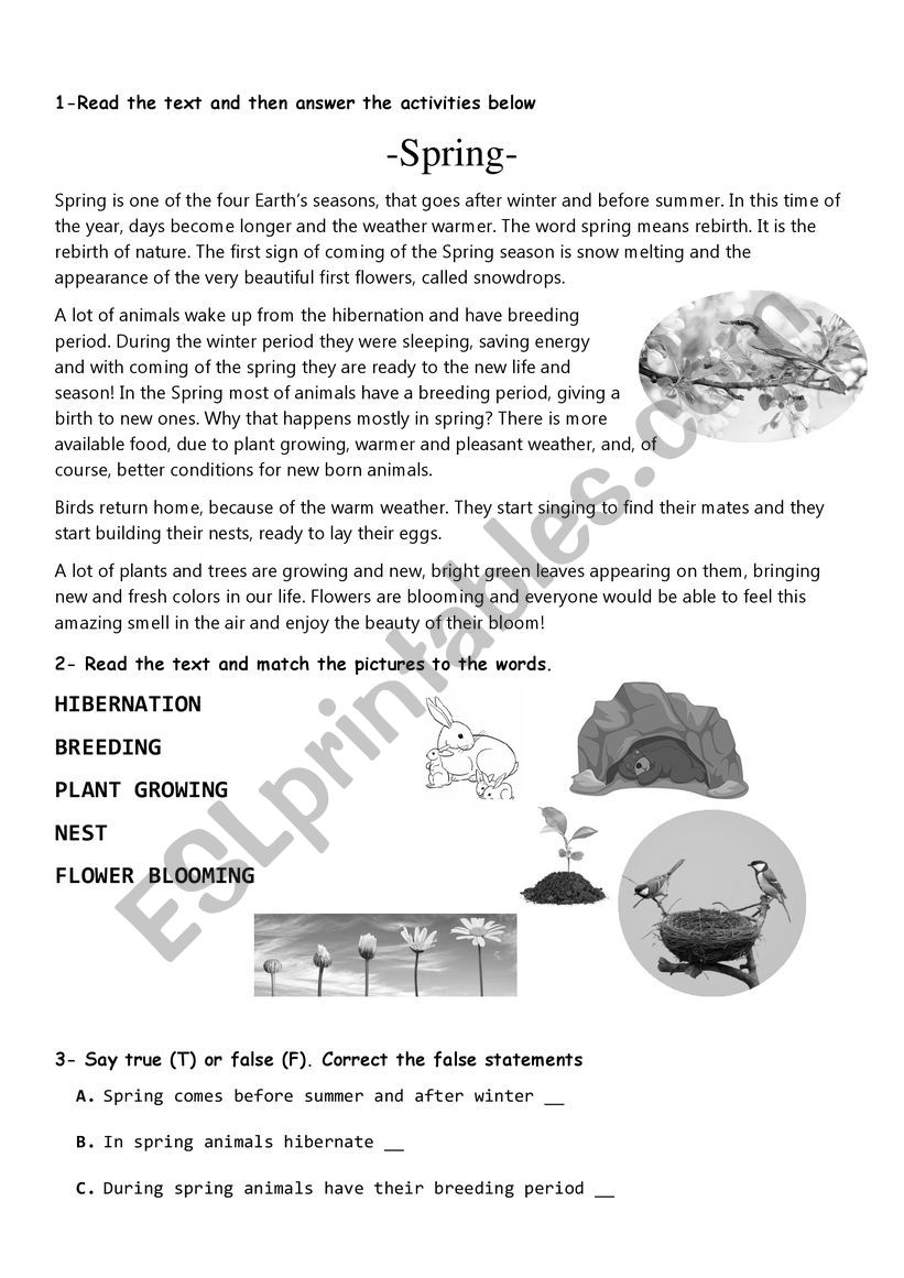 Spring Reading ESL Worksheet By AndyBalbi