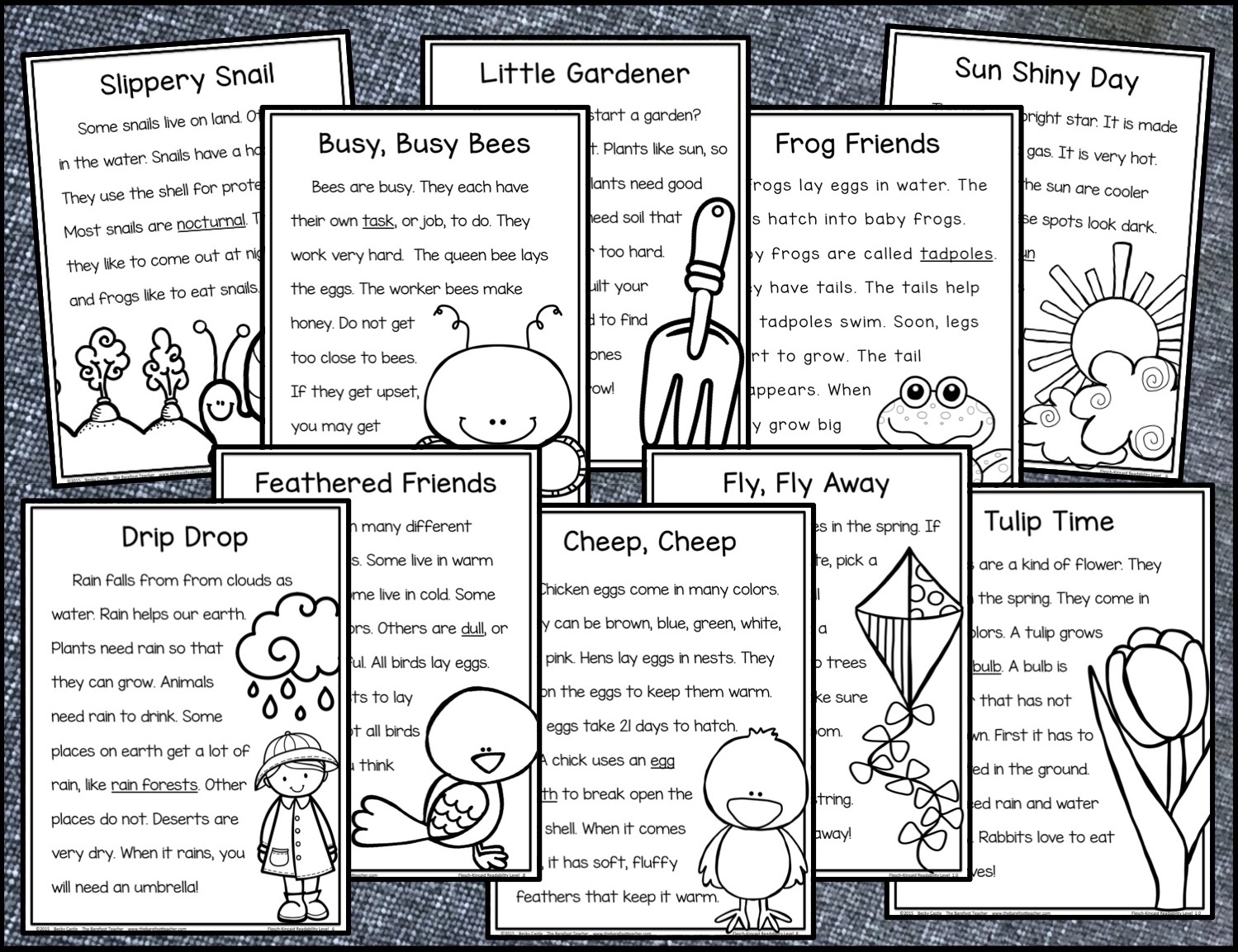 Spring Themed Reading Comprehension Pack Plus A FREE DOWNLOAD The Barefoot Teacher