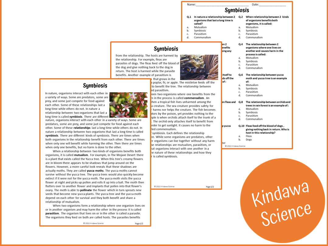 Symbiosis Reading Comprehension Passage And Questions PDF 