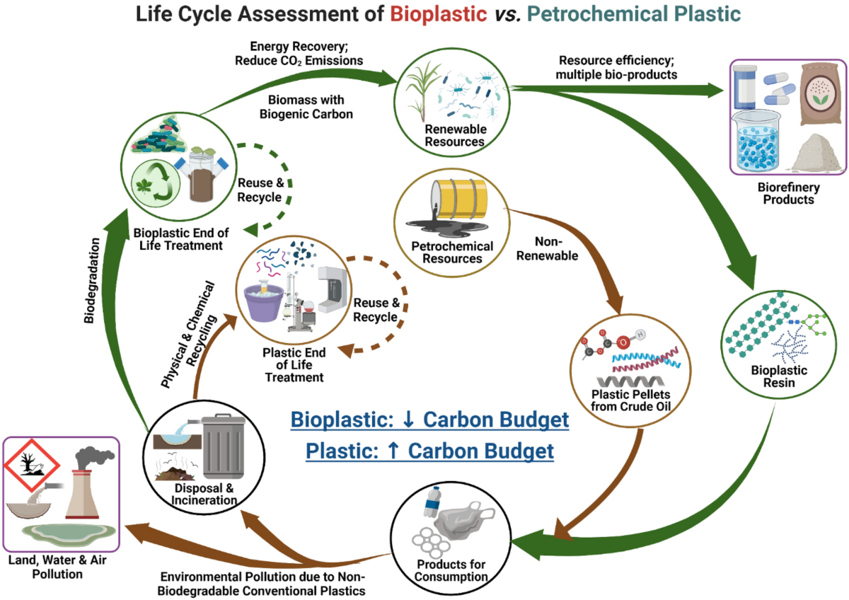 Systematizing Microbial Bioplastic Production For Developing Sustainable Bioeconomy Metabolic Nexus Modeling Economic And Environmental Technologies Assessment Journal Of Polymers And The Environment