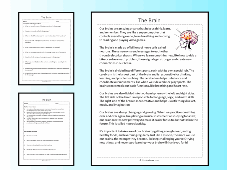 The Brain Reading Comprehension Passage Printable Worksheet Teaching Resources