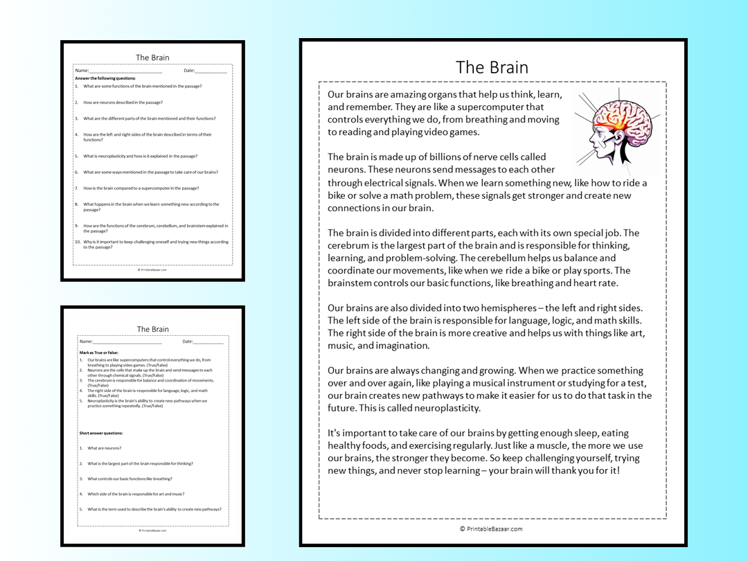 The Brain Reading Comprehension Passage Printable Worksheet 