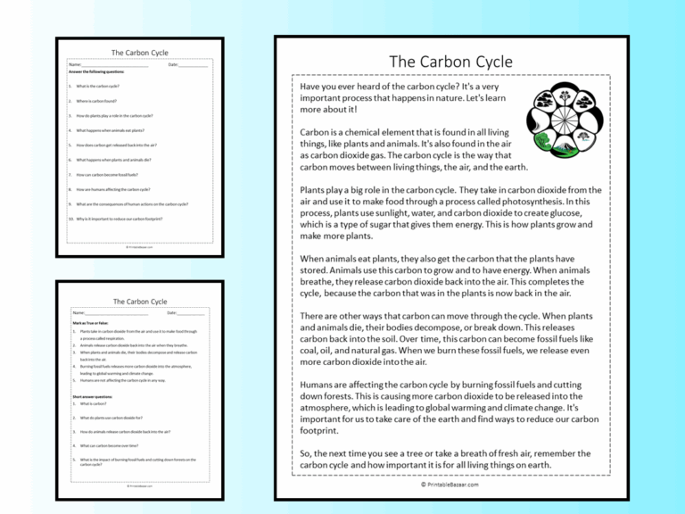 The Carbon Cycle Reading Comprehension Passage Printable Worksheet Teaching Resources