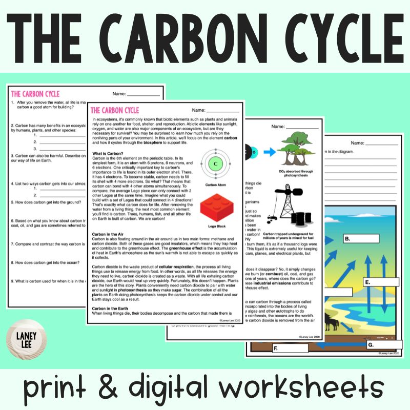 The Carbon Cycle Reading Comprehension Worksheets