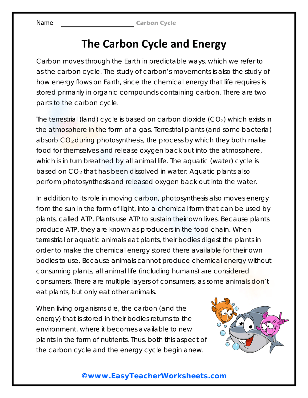 The Carbon Cycle Worksheets 2025
