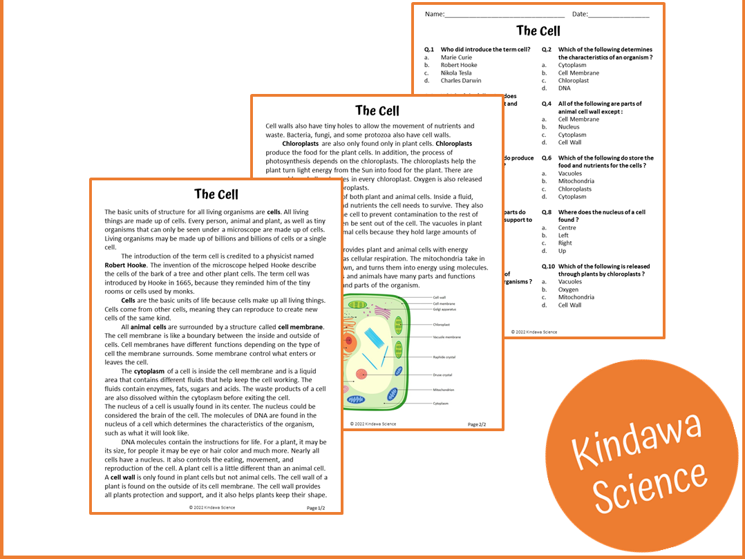 The Cell Reading Comprehension Passage And Questions PDF Teaching Resources