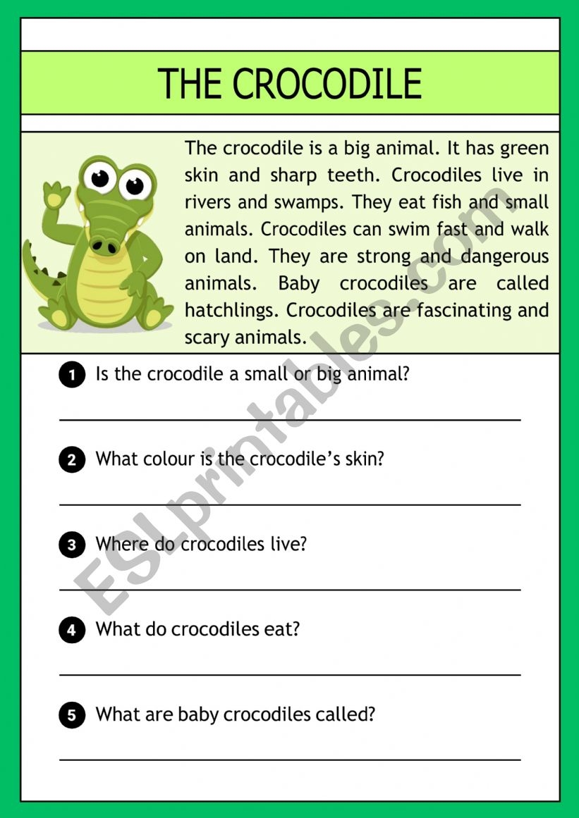 The Crocodile Reading Comprehension ESL Worksheet By Demeter2023