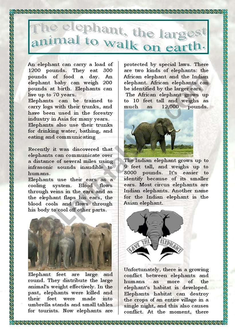 The Elephants reading information 5 Pages answers ESL Worksheet By Demeuter