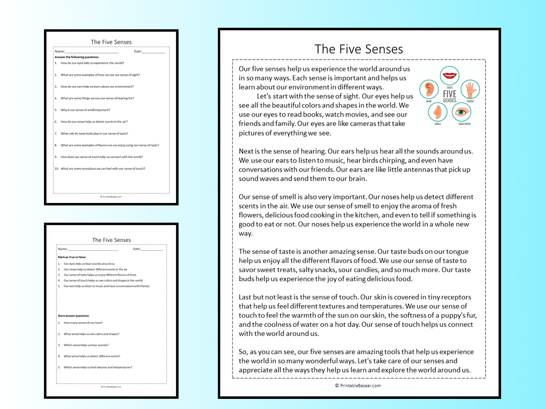 Sense Of Smell Reading Comprehension Worksheet
