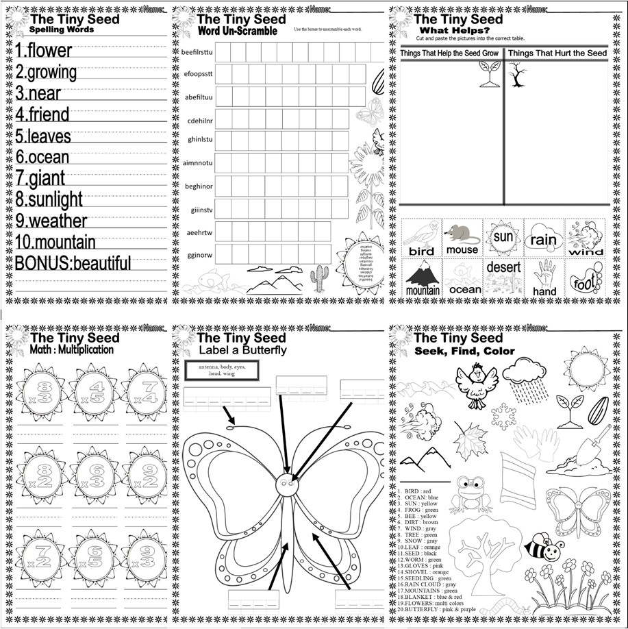 The Tiny Seed Plant Cycle Read Aloud Spring Book Companion Reading Comprehension Worksheets