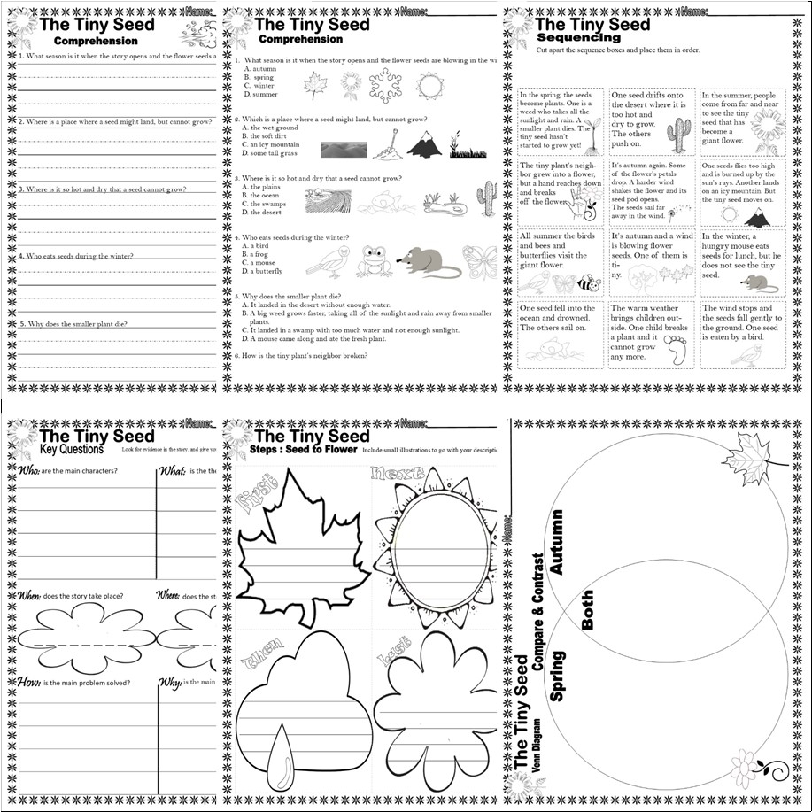 The Tiny Seed Plant Cycle Read Aloud Spring Book Companion Reading Comprehension Worksheets