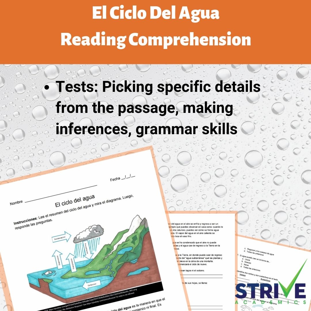 The Water Cycle Reading Comprehension Worksheet Spanish Version 