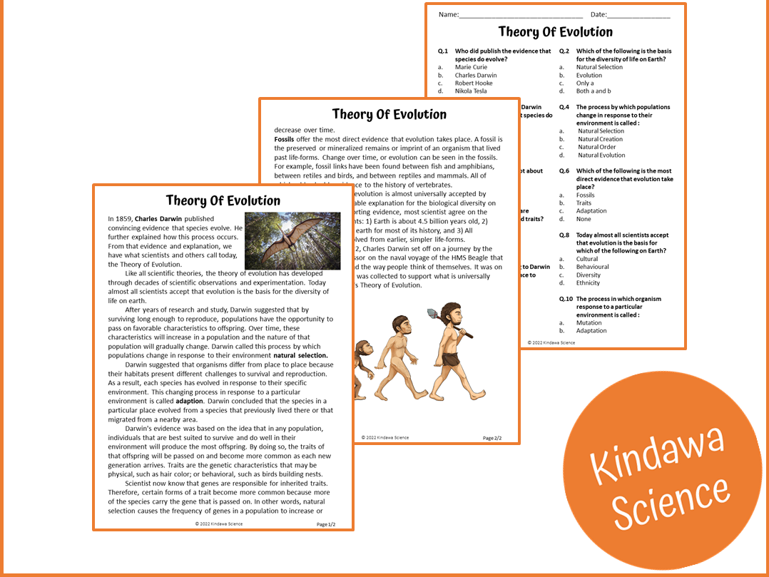 Evolution Reading Comprehension Worksheet