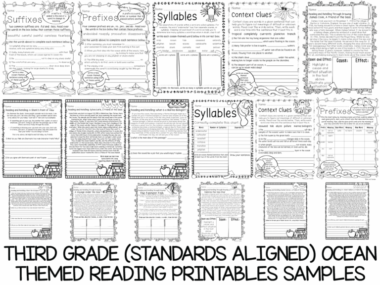 Third Grade Ocean Themed Worksheets 100 Standards Aligned Printables Made By Teachers