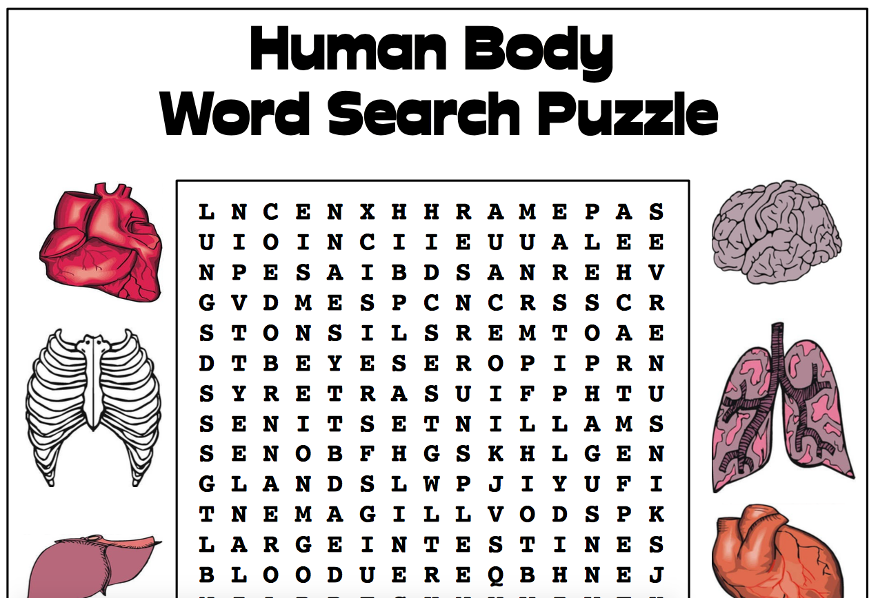 Reading Comprehension Human Body Worksheets
