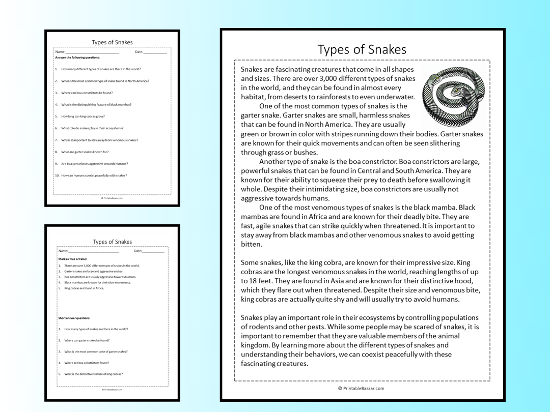 Types Of Snakes Reading Comprehension Passage Printable Worksheet Teaching Resources