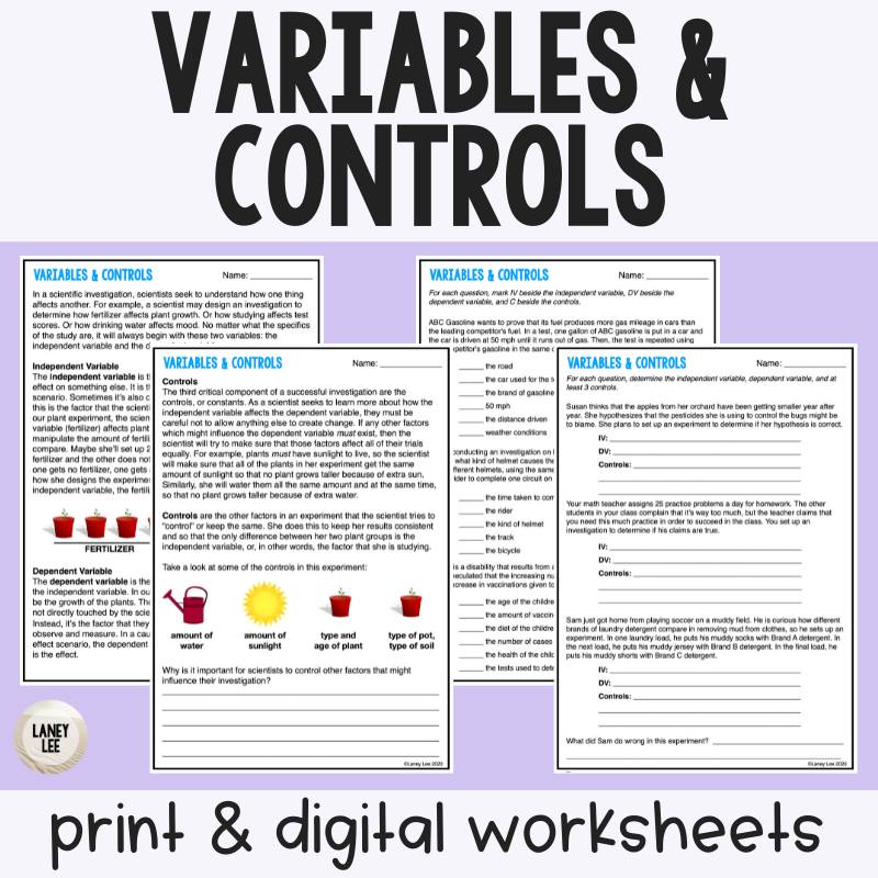 Variables And Controls Reading Comprehension Worksheets