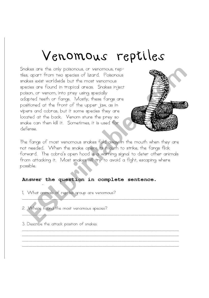 Reptile Reading Comprehension Worksheet