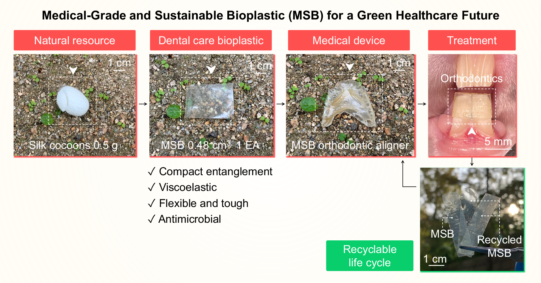 Viscoelastic And Antimicrobial Dental Care Bioplastic With Recyclable Life Cycle Nature Communications