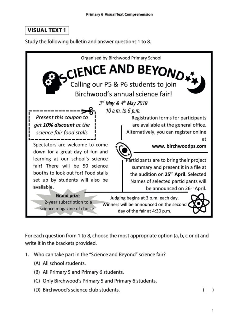Visual Text Comprehension P6
