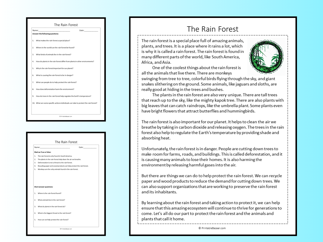 Weather Reading Comprehension Worksheets
