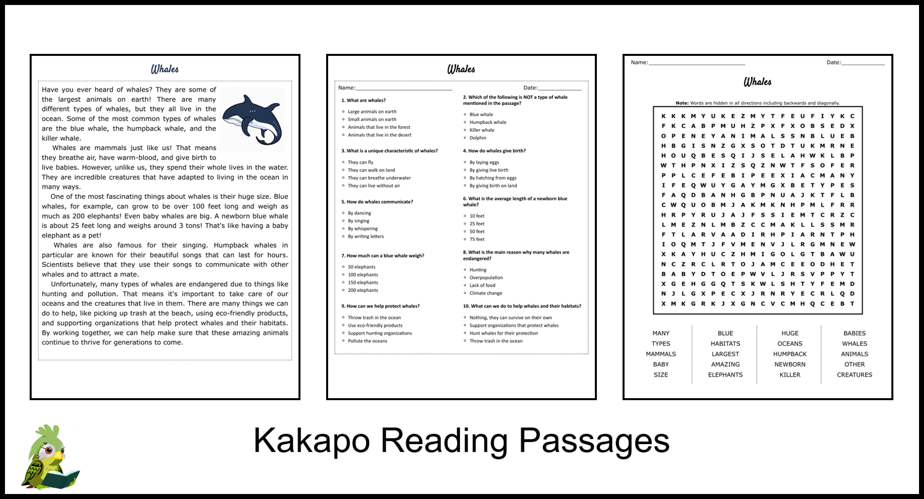Whales Reading Comprehension And Word Search Teaching Resources