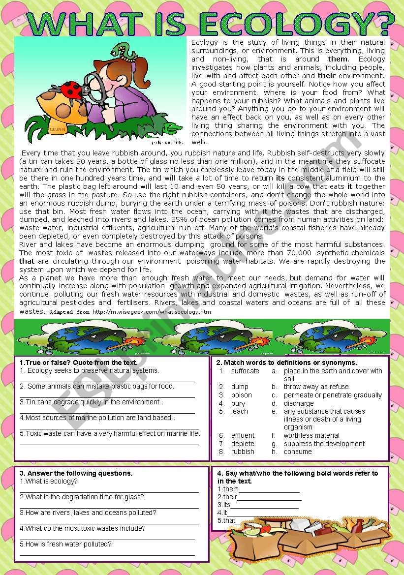 What Is Ecology ESL Worksheet By Patties