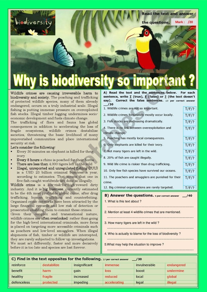 Why Is BIODIVERSITY So Important Reading Comprehension Or Test 