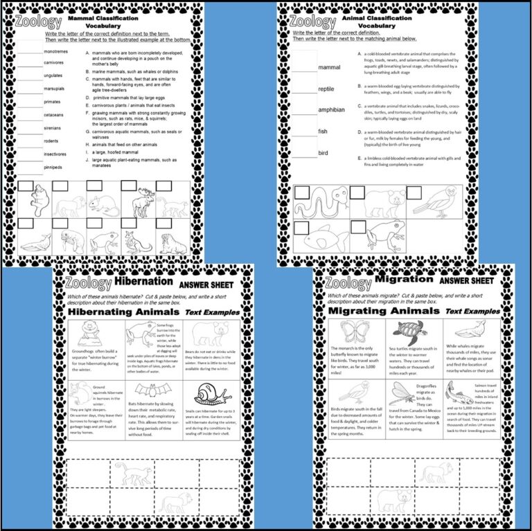 Zoology Animal Classification Science Study Unit Worksheets Made By Teachers